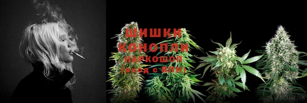 мдпв Пересвет