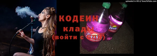 мдпв Пересвет