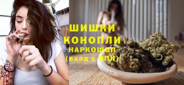 мдпв Пересвет