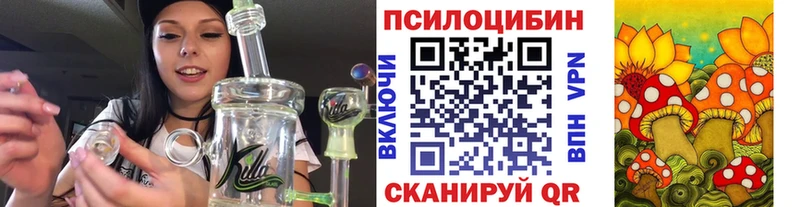 Псилоцибиновые грибы прущие грибы  Аша 