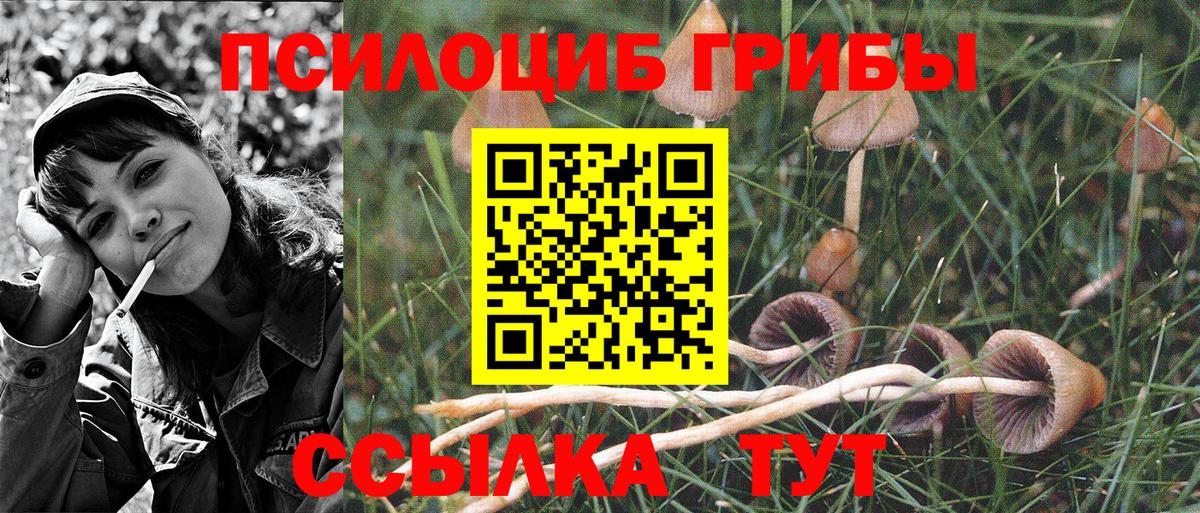 Галлюциногенные грибы MAGIC MUSHROOMS  Вход с VPN  Аша 