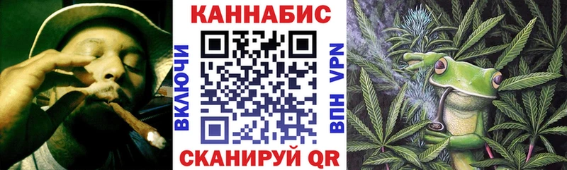 Каннабис планчик Аша